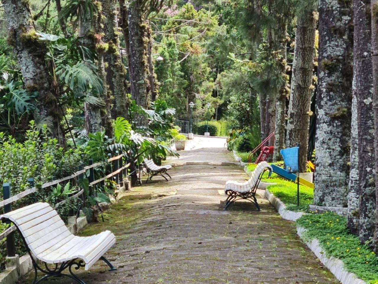 Hotel Bucsky Nova Friburgo Esterno foto